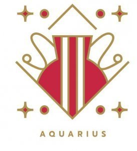Acquario - segno zodiacale Acquario - segno zodiacale