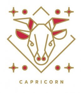 Capricorno. Seno zodiacale