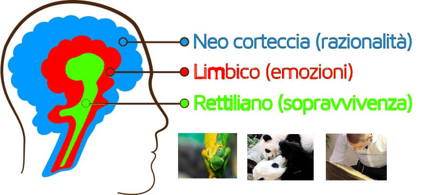 La teoria dei tre cercelli