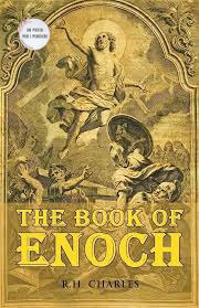 libro di Enock