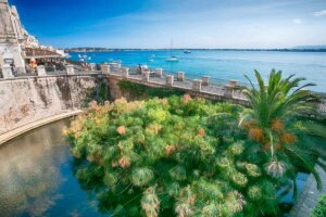 La fonte Aretusa a Siracusa